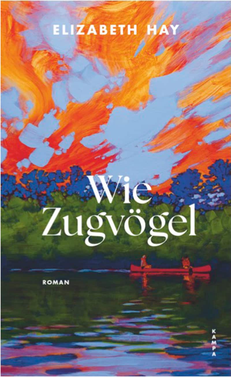 Buchcover: Elizabeth Hay, Wie Zugvögel